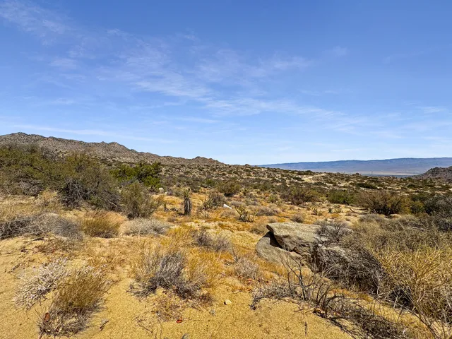 an aerial view of houses covered in trees