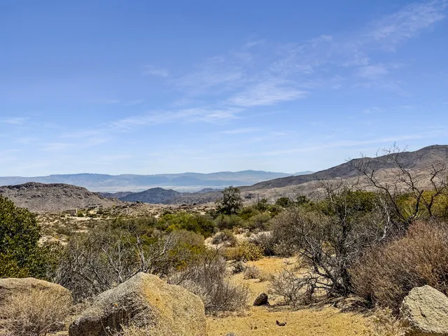 a view of a forest with mountains in the background