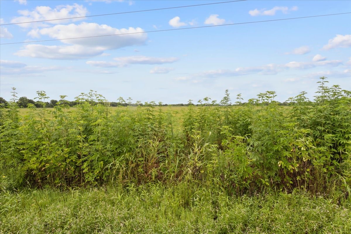 0 Old Boenisch Road Garwood, TX 77442 - Photo 7 of 9