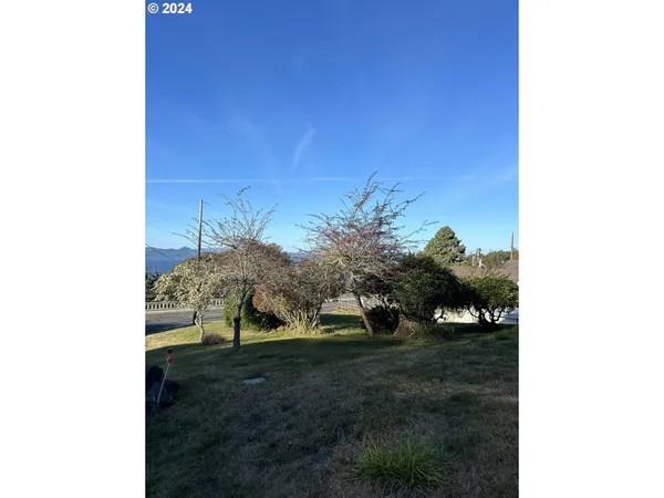 a view of a yard