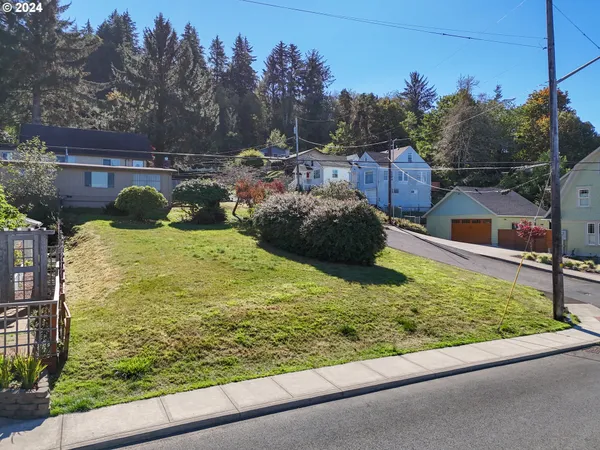 a view of backyard with green space