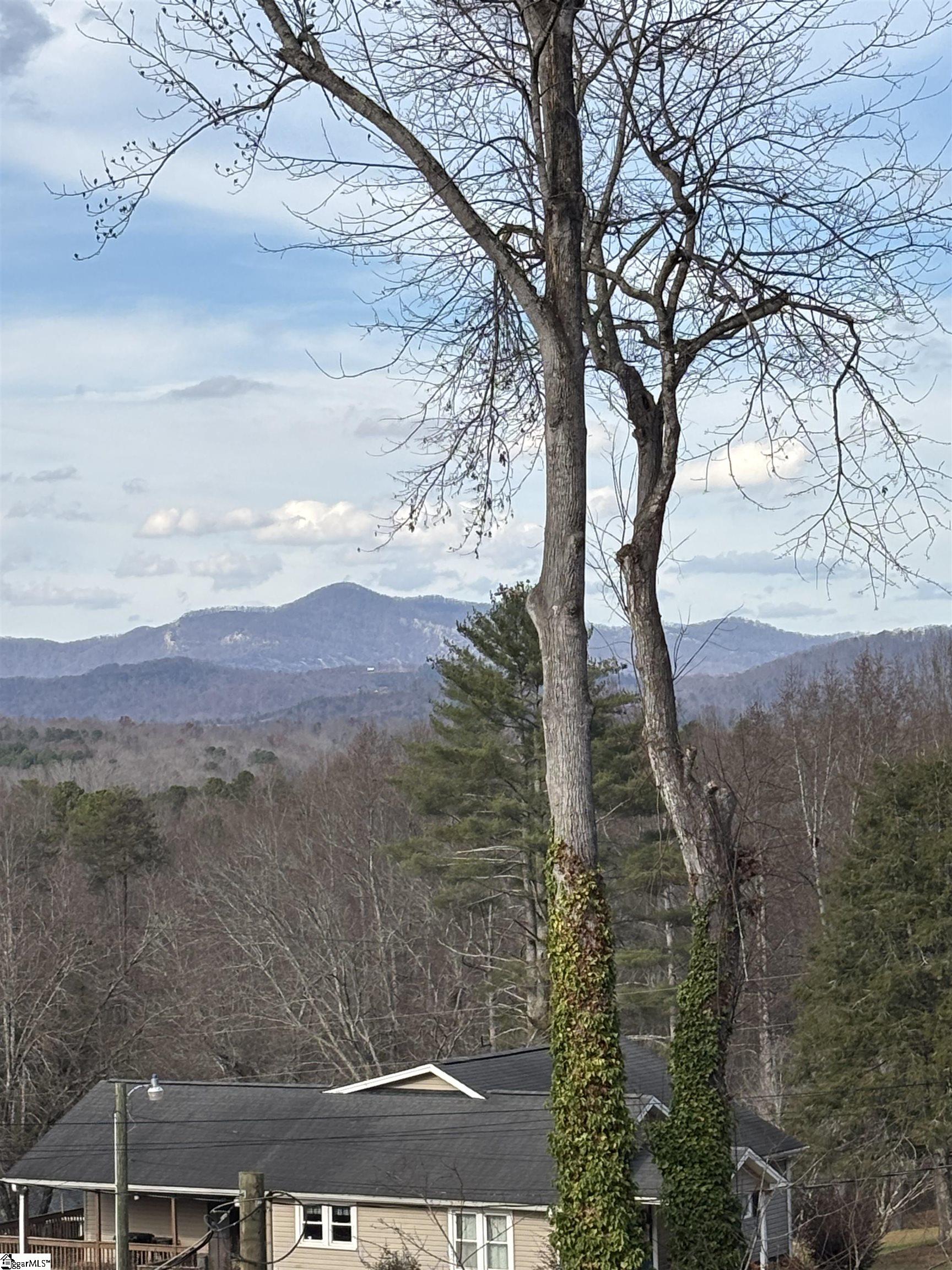 163 Red Hill Road Pickens, SC 29671 - Photo 13 of 37