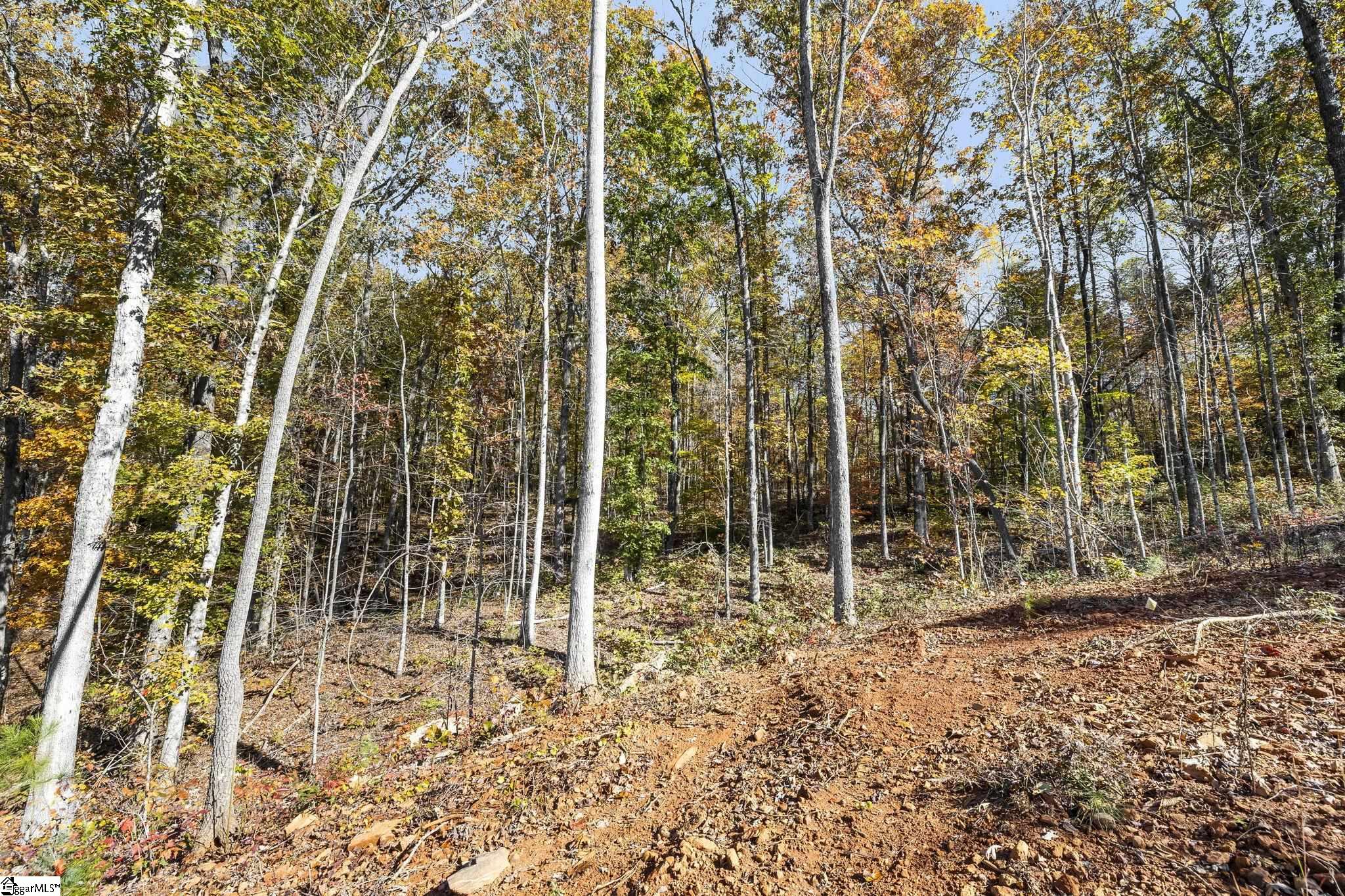 163 Red Hill Road Pickens, SC 29671 - Photo 33 of 37