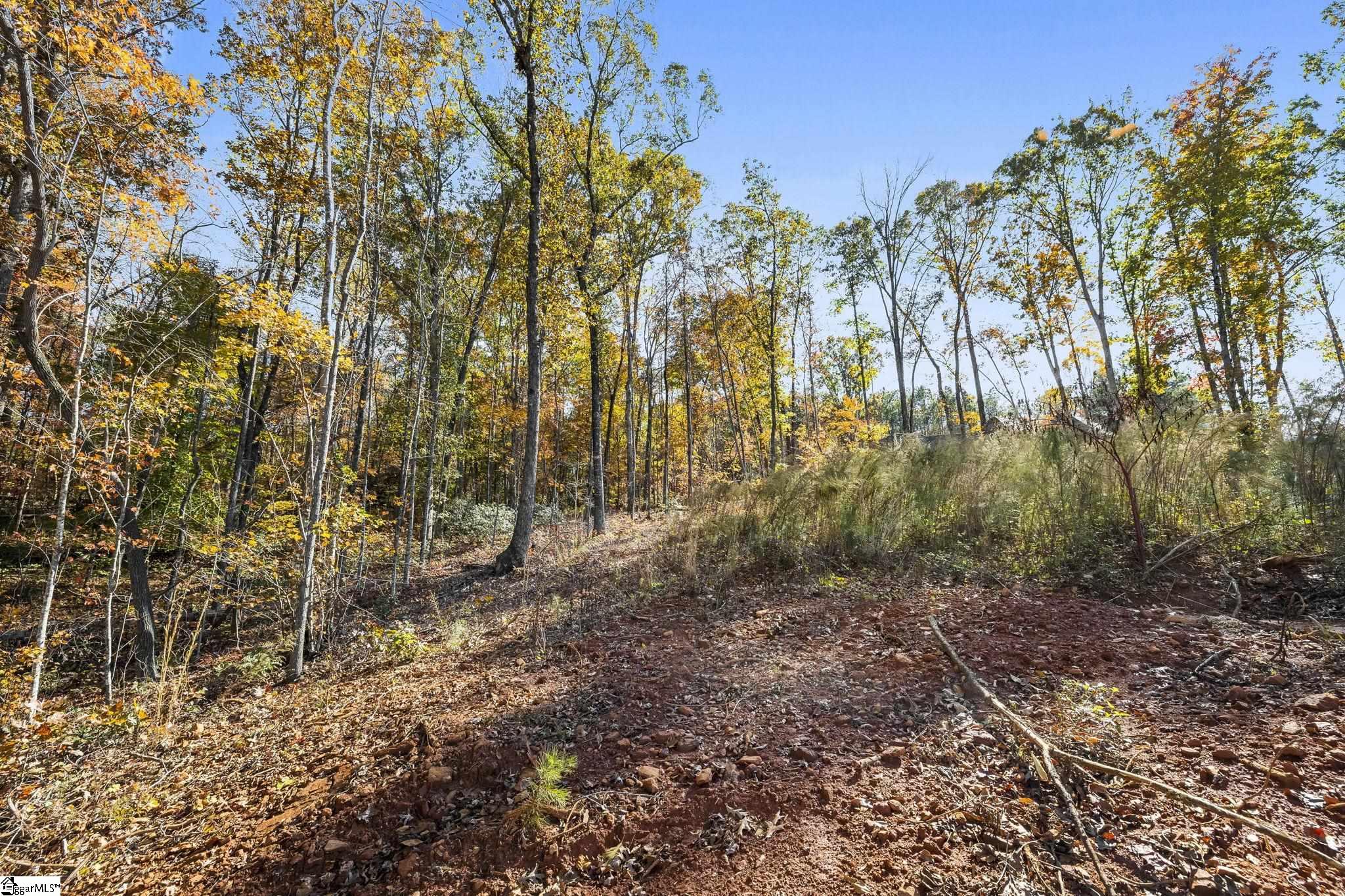 163 Red Hill Road Pickens, SC 29671 - Photo 34 of 37