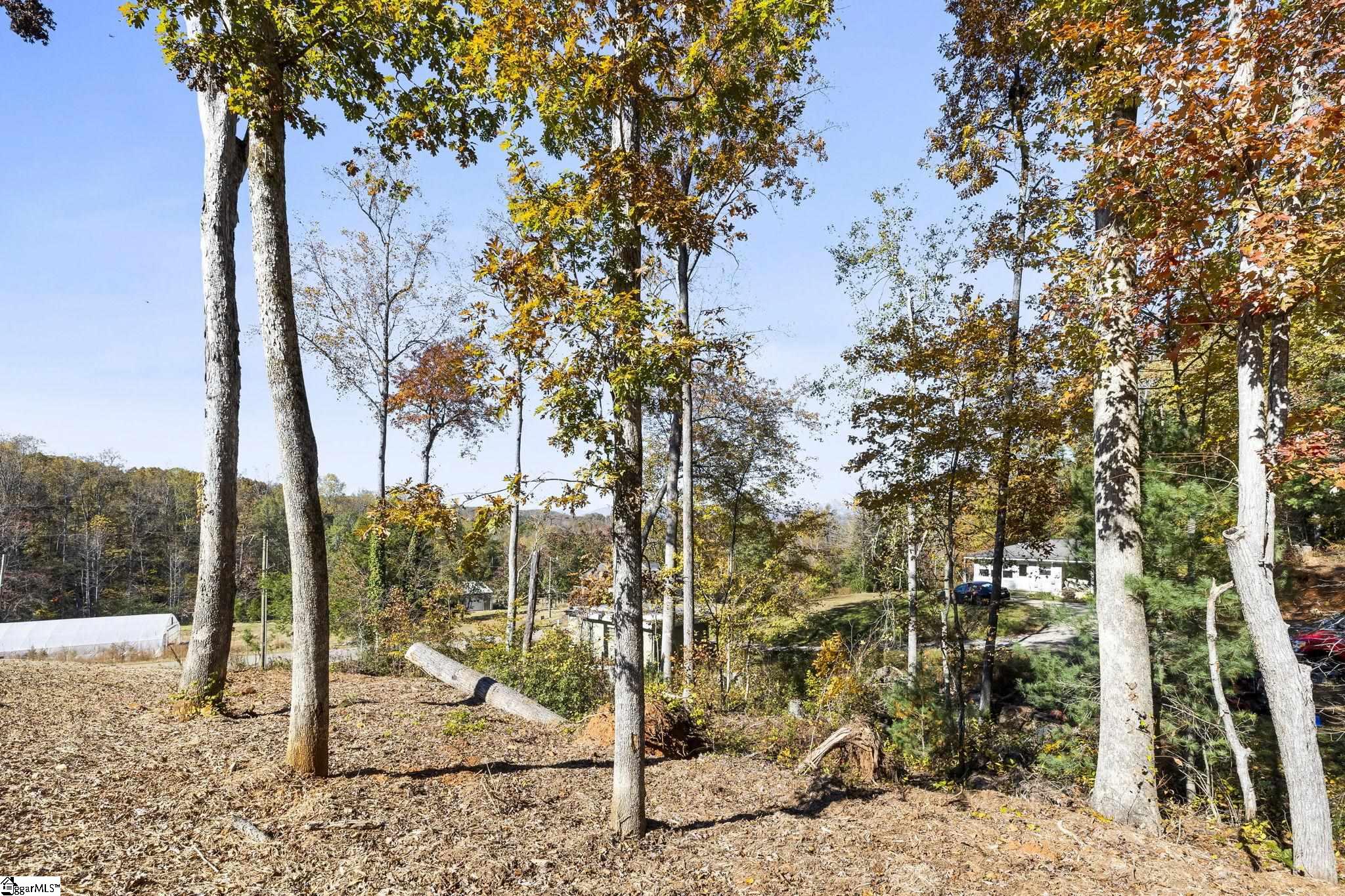 163 Red Hill Road Pickens, SC 29671 - Photo 35 of 37