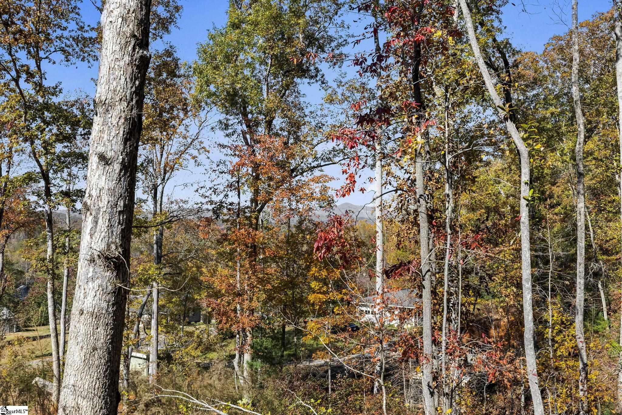 163 Red Hill Road Pickens, SC 29671 - Photo 36 of 37