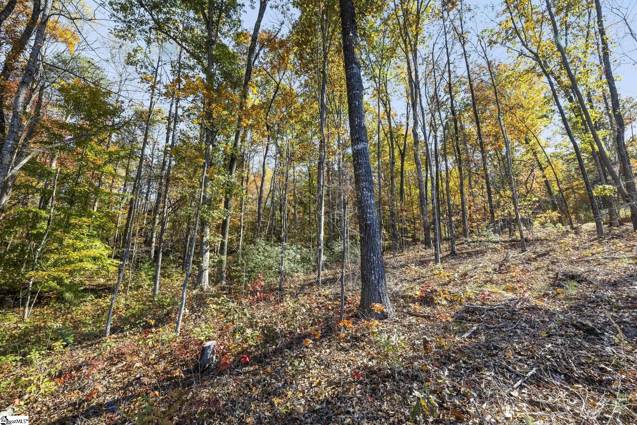 163 Red Hill Road Pickens, SC 29671 - Photo 37 of 37