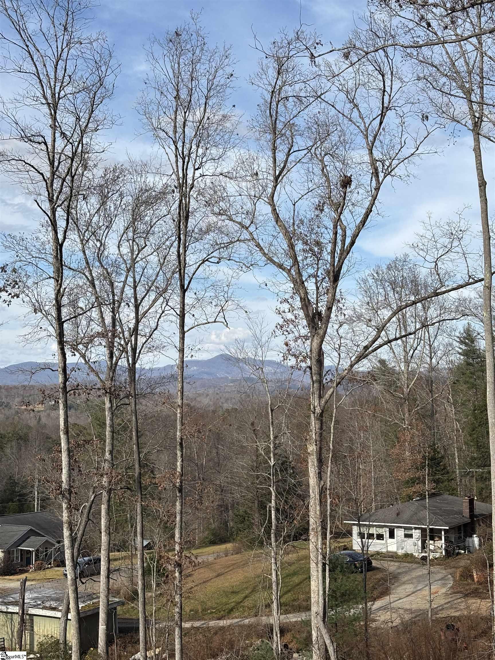 163 Red Hill Road Pickens, SC 29671 - Photo 5 of 37