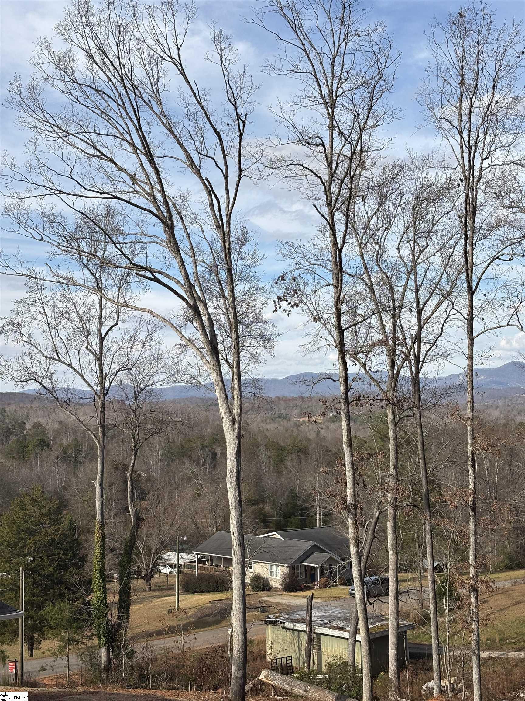 163 Red Hill Road Pickens, SC 29671 - Photo 6 of 37