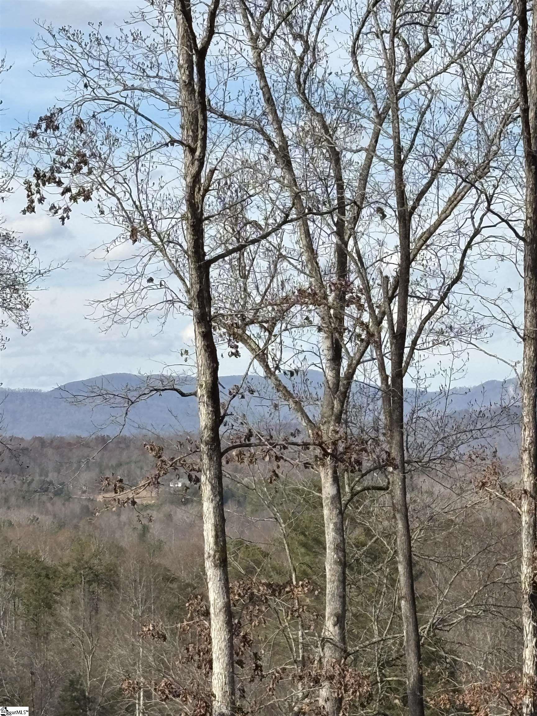 163 Red Hill Road Pickens, SC 29671 - Photo 8 of 37