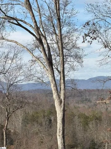 $210,000 | 163 Red Hill Road, Pickens, SC 29671