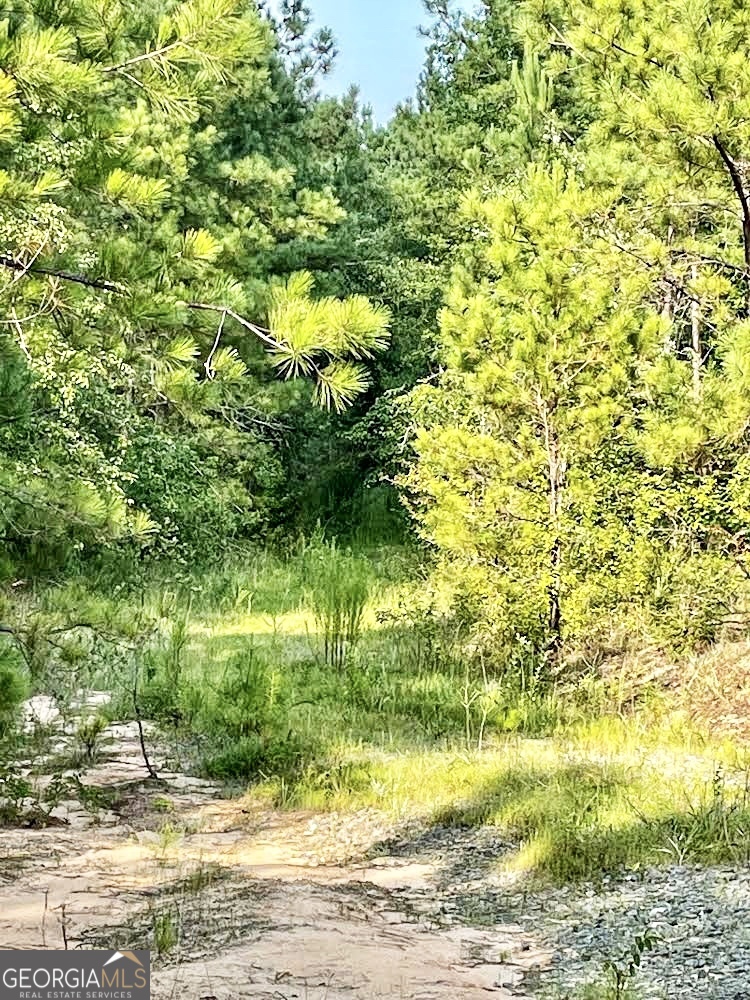 4476 Fulton Mill Road Macon, GA 31216 - Photo 4 of 10