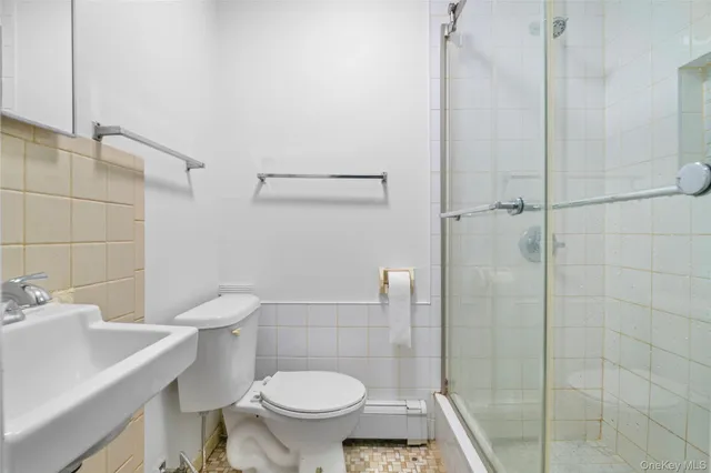 a bathroom with a sink and a toilet