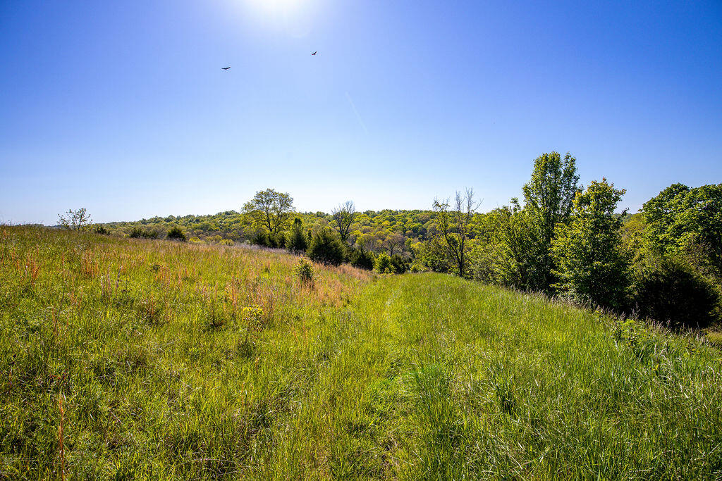 2300 Taft Highway Dry Ridge, KY 41035 - Photo 7 of 31