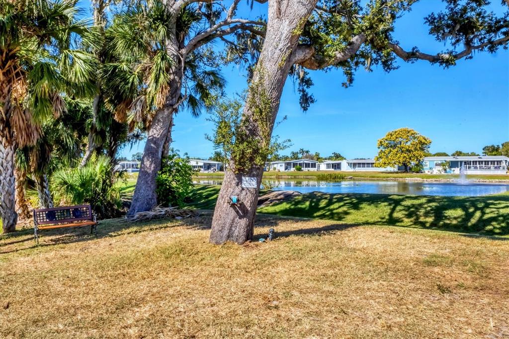 159 Osprey Circle Ellenton, FL 34222 - Photo 22 of 37 a view of a park with large trees