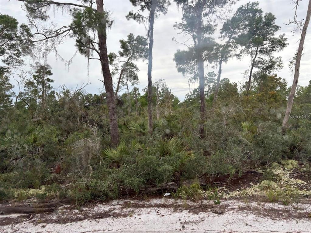 5932 Canopy Road Sebring, FL 33875 - Photo 5 of 9