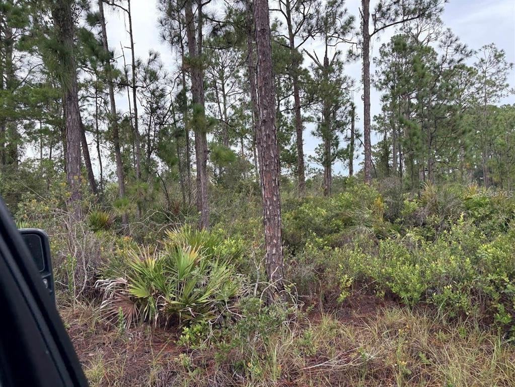 5932 Canopy Road Sebring, FL 33875 - Photo 6 of 9