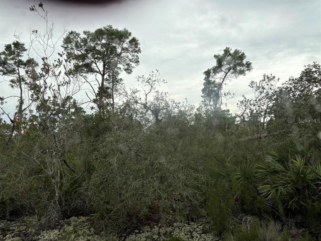 5932 Canopy Road Sebring, FL 33875 - Photo 7 of 9