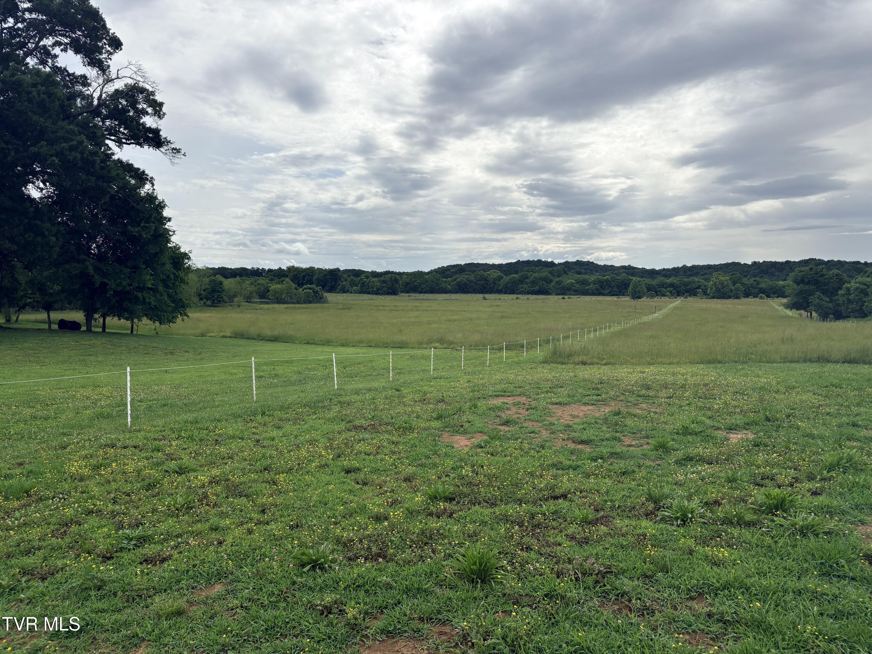 830 Toby Road Mohawk, TN 37810 - Photo 23 of 67 IMG_9889