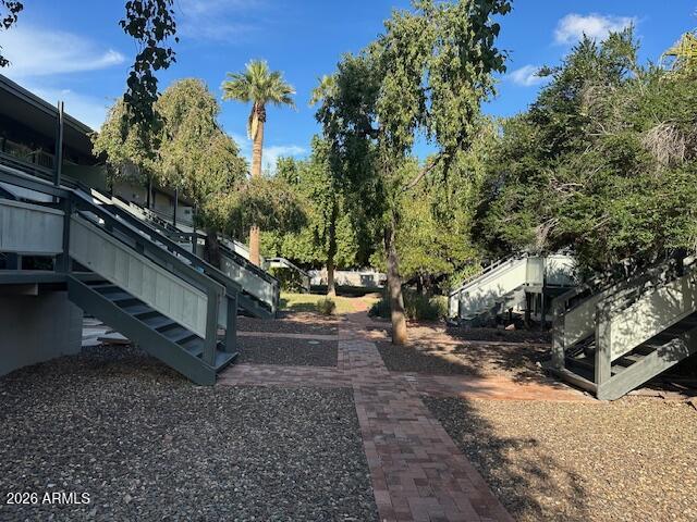 a view of a park with large trees