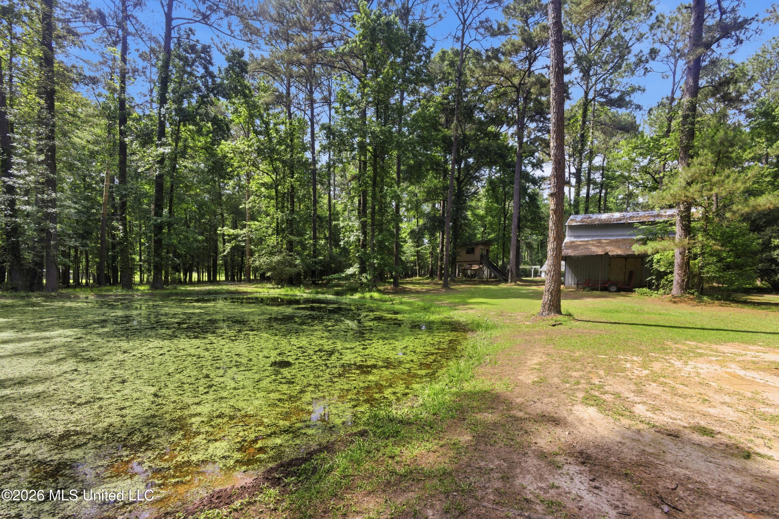 1152 Robb Street, Unit E Summit, MS 39666 - Photo 34 of 42 29_903a2747
