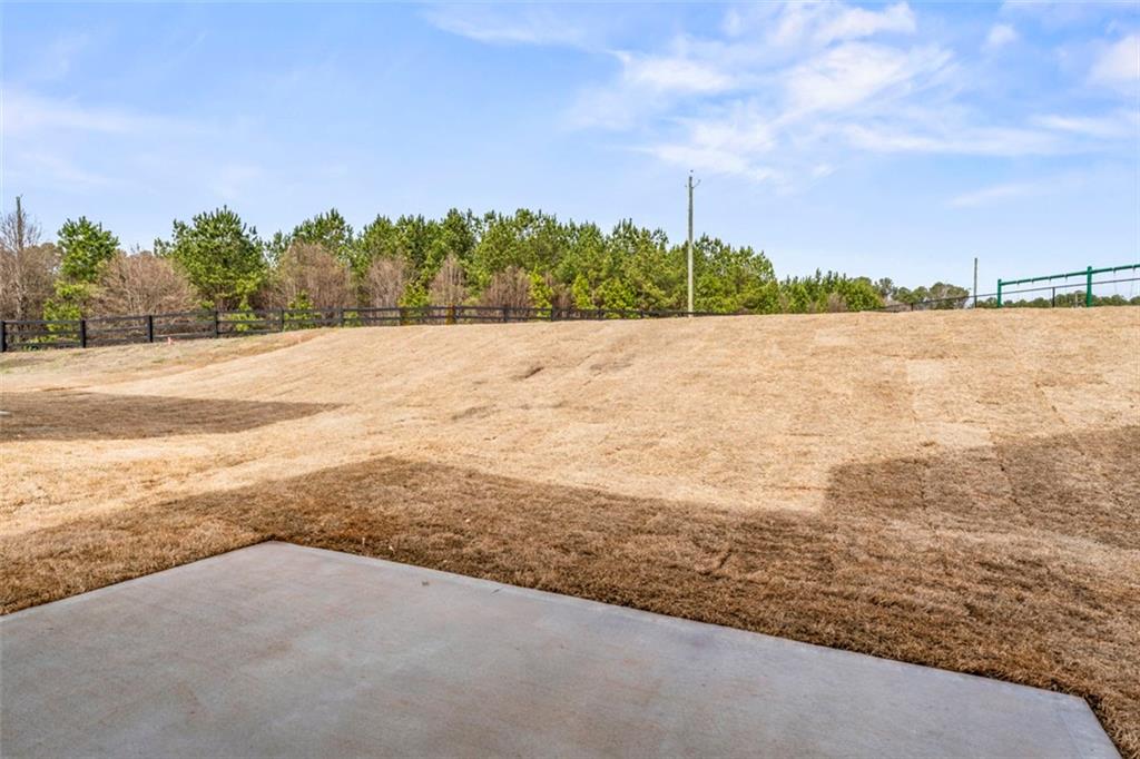 11201 Cornerstone Lane Hampton, GA 30228 - Photo 34 of 34