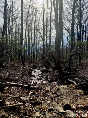 a view of wooden fence