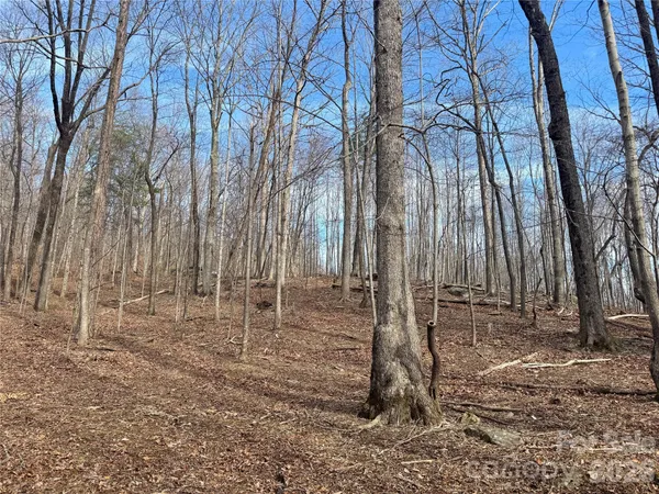 a backyard of a house with lots of tall trees