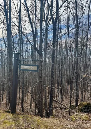 a view of a outdoor space with trees