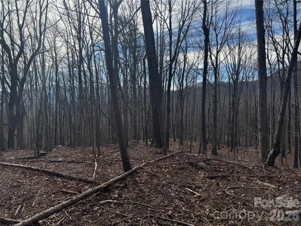 a view of outdoor space with lots of trees