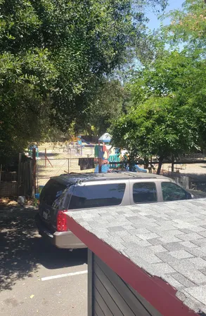 a view of a shaded area in a backyard