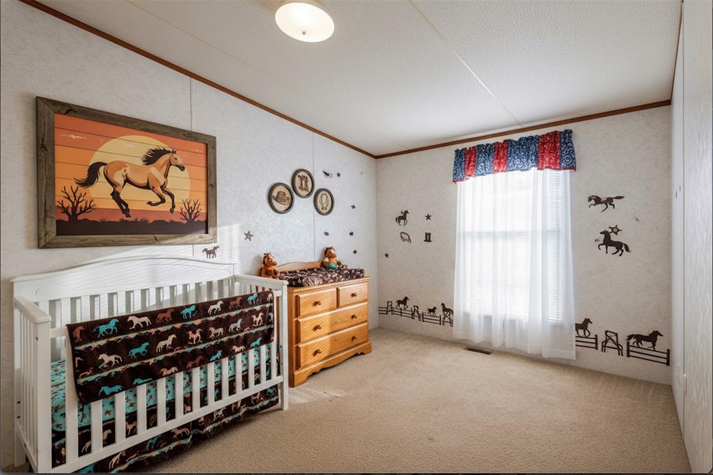 3233 Deer Path Lane Weatherford, TX 76085 - Photo 26 of 40 AI-enhanced photos are for visualization only
