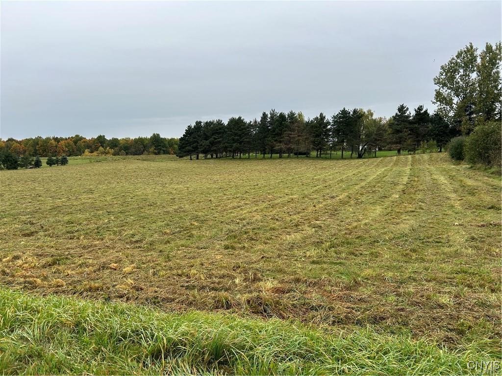 0 Plank Road Calcium, NY 13616 - Photo 1 of 11