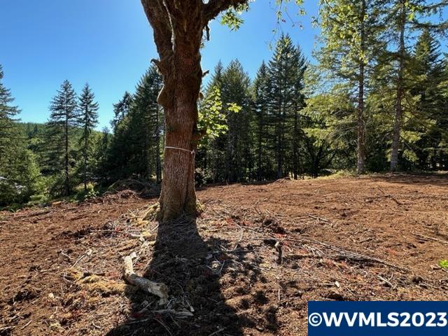 526258 Southwest Pumpkinseed Road Willamina, OR 97396 - Photo 16 of 24