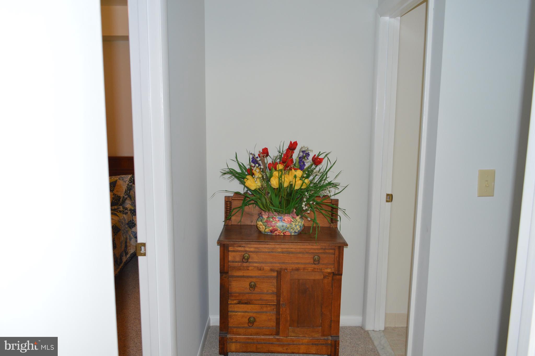 2124 Poplar Road Baltimore, MD 21221 - Photo 15 of 29 a vase with flowers sitting on a floor