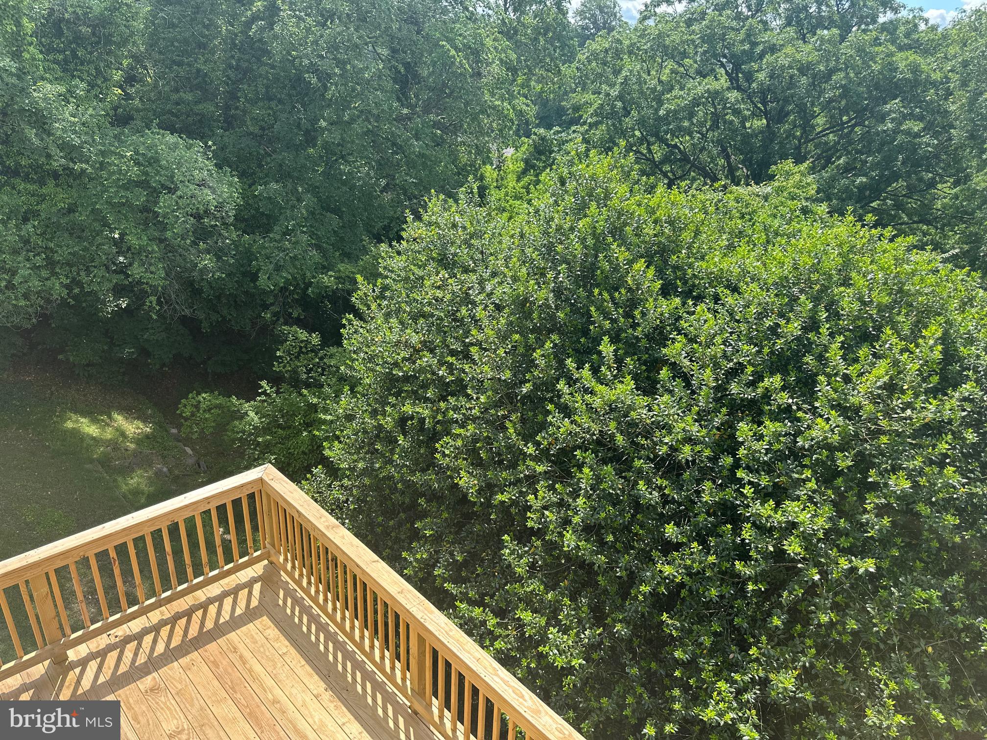 2528 Elvans Road Southeast Washington, DC 20020 - Photo 10 of 31 a view of balcony and yard