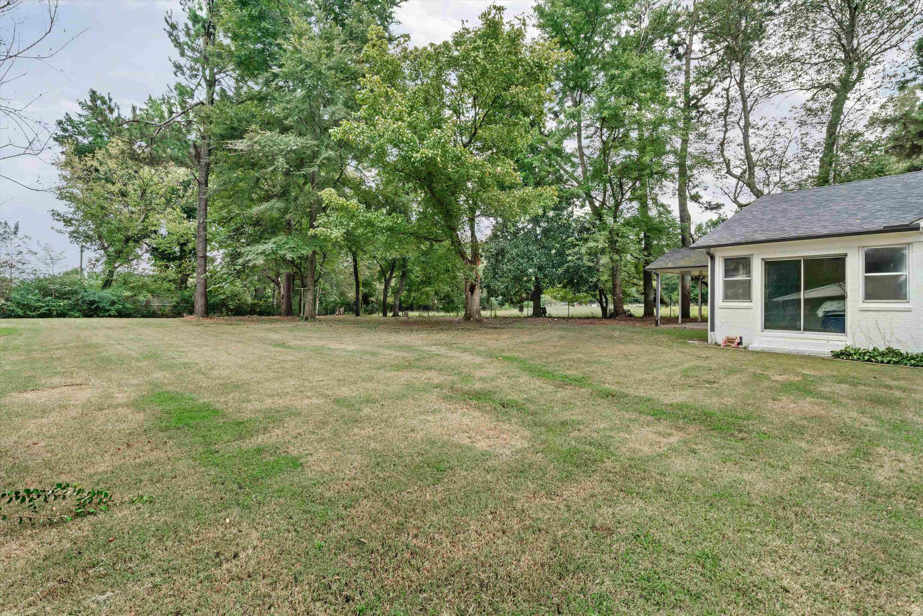 4444 Pickens Store Road Mason, TN 38049 - Photo 26 of 27 Looking at Home from Side Yard