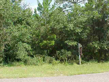 715 3 Rivers Road Carrabelle, FL 32322 - Photo 1 of 1