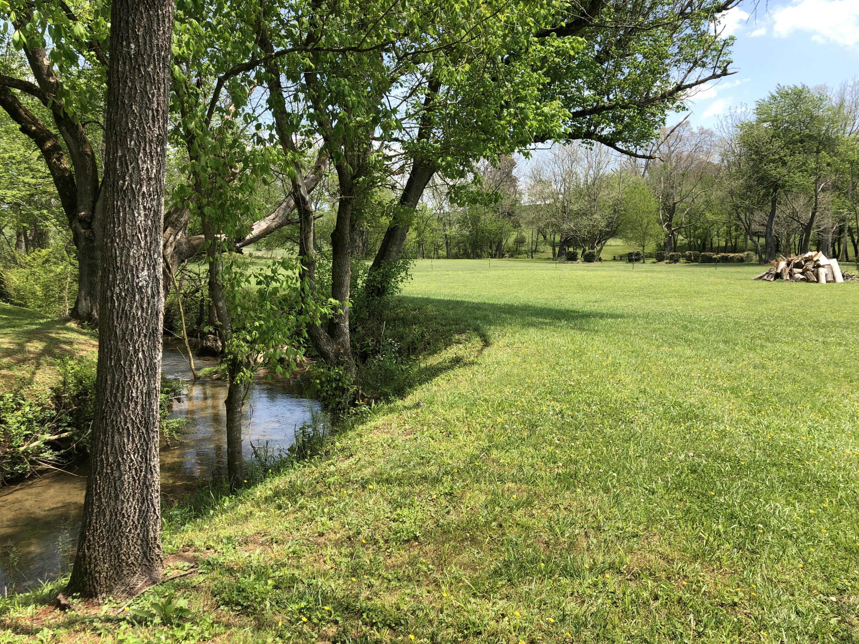 311 Browns Bridge Road Greeneville, TN 37745 - Photo 32 of 36 BB5