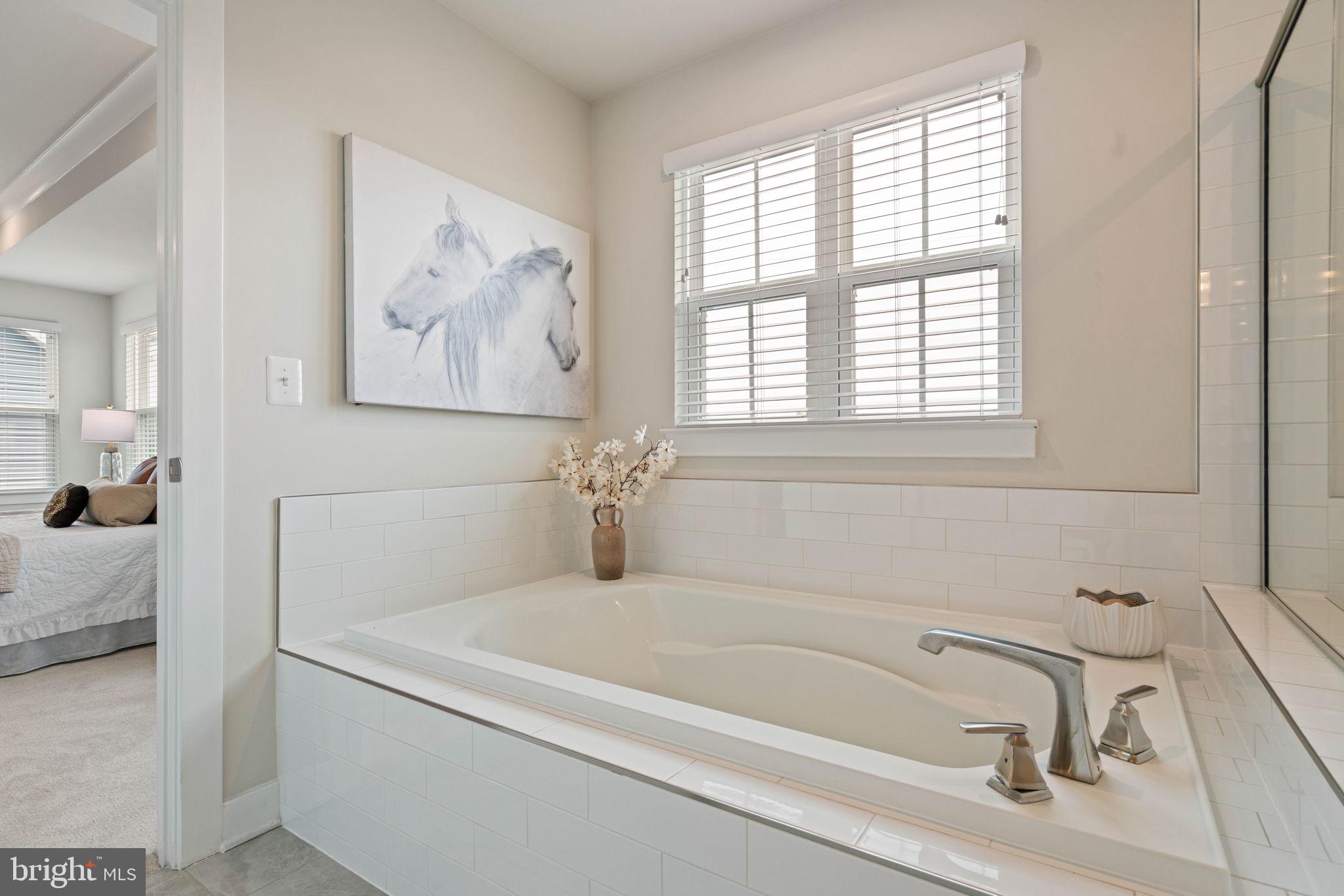 11285 Wheeler Ridge Drive Manassas, VA 20109 - Photo 27 of 63 Large soaking tub