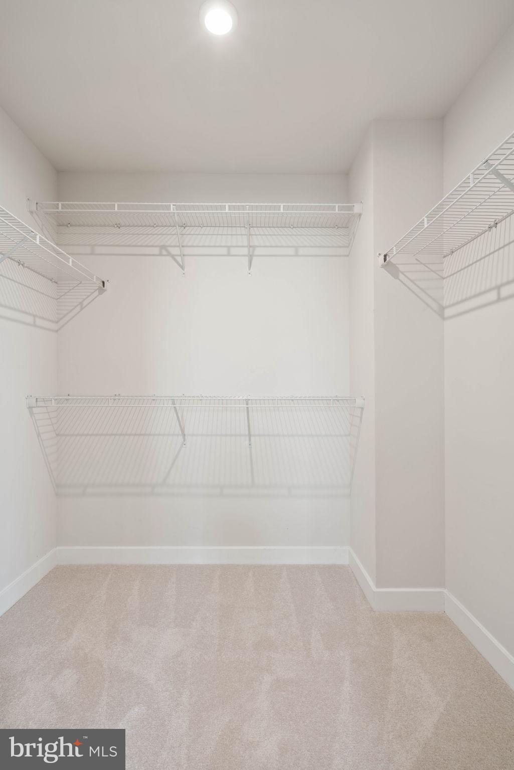 11285 Wheeler Ridge Drive Manassas, VA 20109 - Photo 31 of 63 Walk in closet with shelving