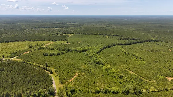 $467,740 | 0 Cool Branch Road, Carlisle, SC 29031