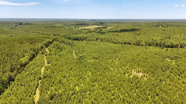 $467,740 | 0 Cool Branch Road, Carlisle, SC 29031