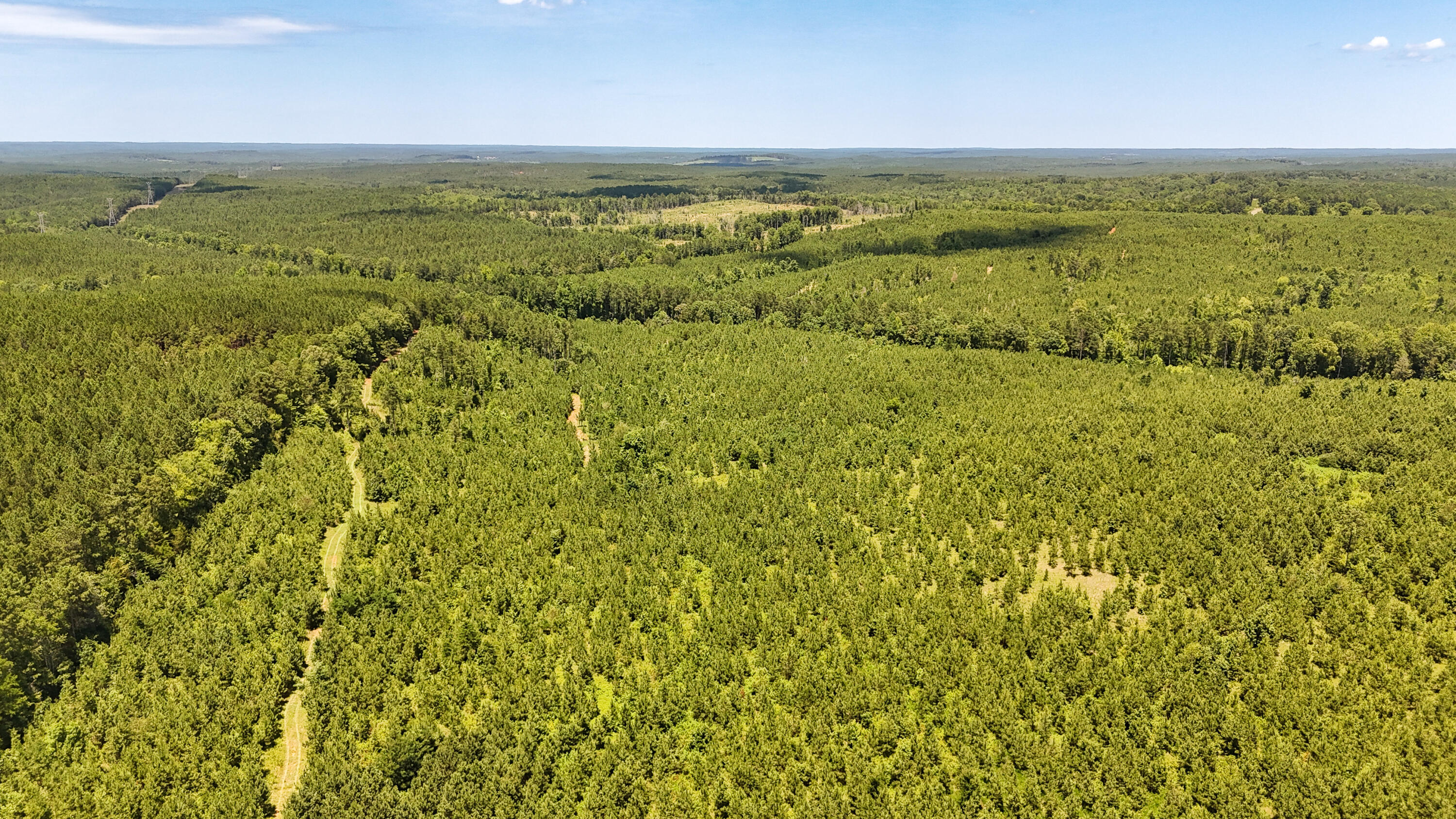 0 Cool Branch Road Carlisle, SC 29031 - Photo 11 of 14 Cool Branch Compass South Land Sales Sou