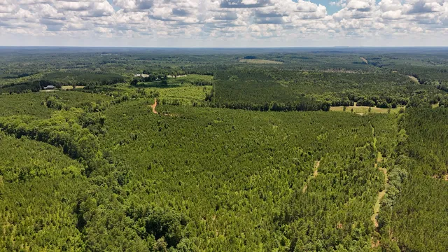 $467,740 | 0 Cool Branch Road, Carlisle, SC 29031