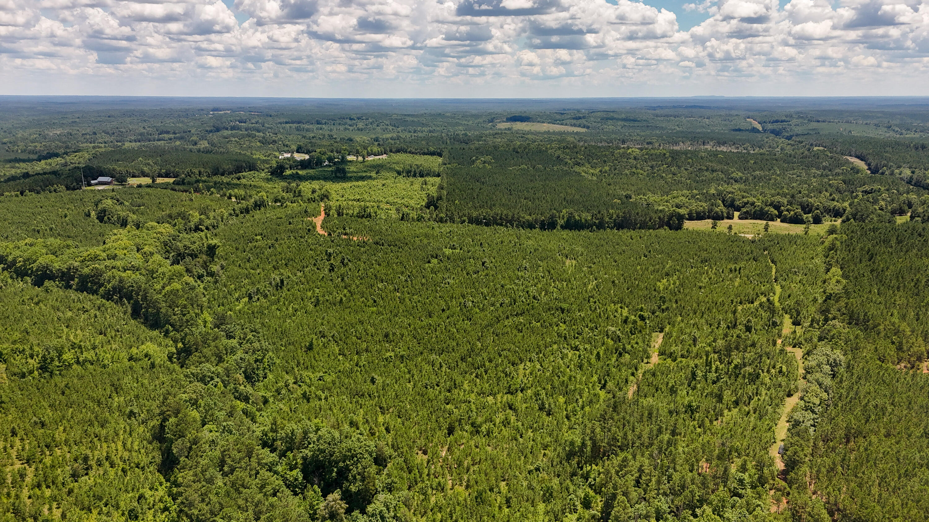 0 Cool Branch Road Carlisle, SC 29031 - Photo 13 of 14 Cool Branch Compass South Land Sales Sou