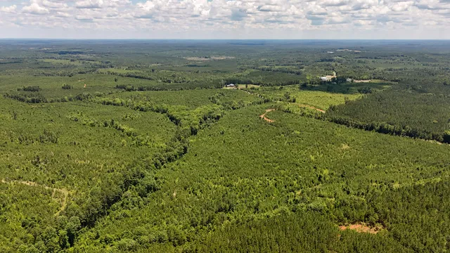 $467,740 | 0 Cool Branch Road, Carlisle, SC 29031