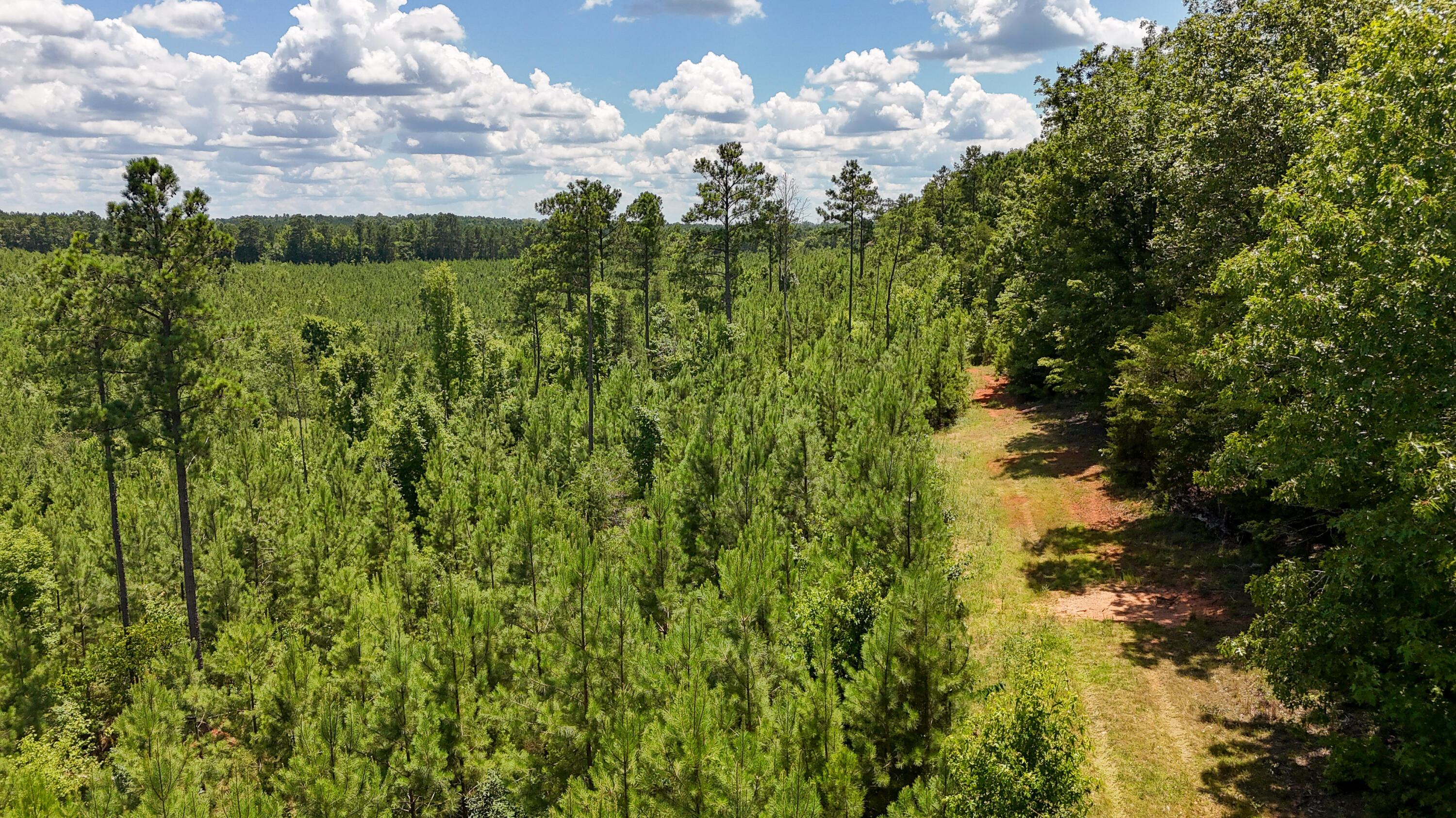 0 Cool Branch Road Carlisle, SC 29031 - Photo 2 of 14 Cool Branch Compass South Land Sales Sou