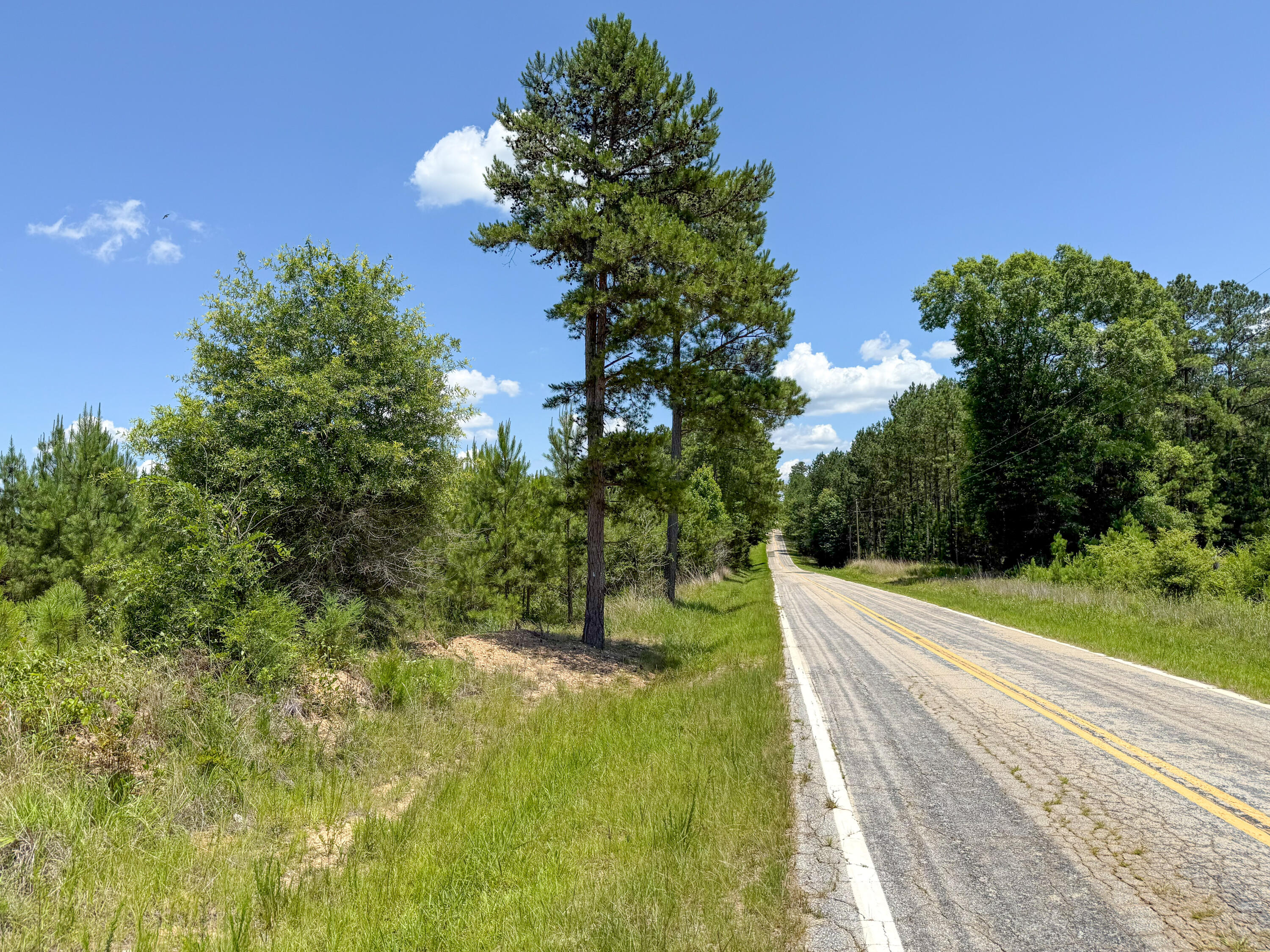 0 Cool Branch Road Carlisle, SC 29031 - Photo 3 of 14 Cool Branch Compass South Land Sales Sou