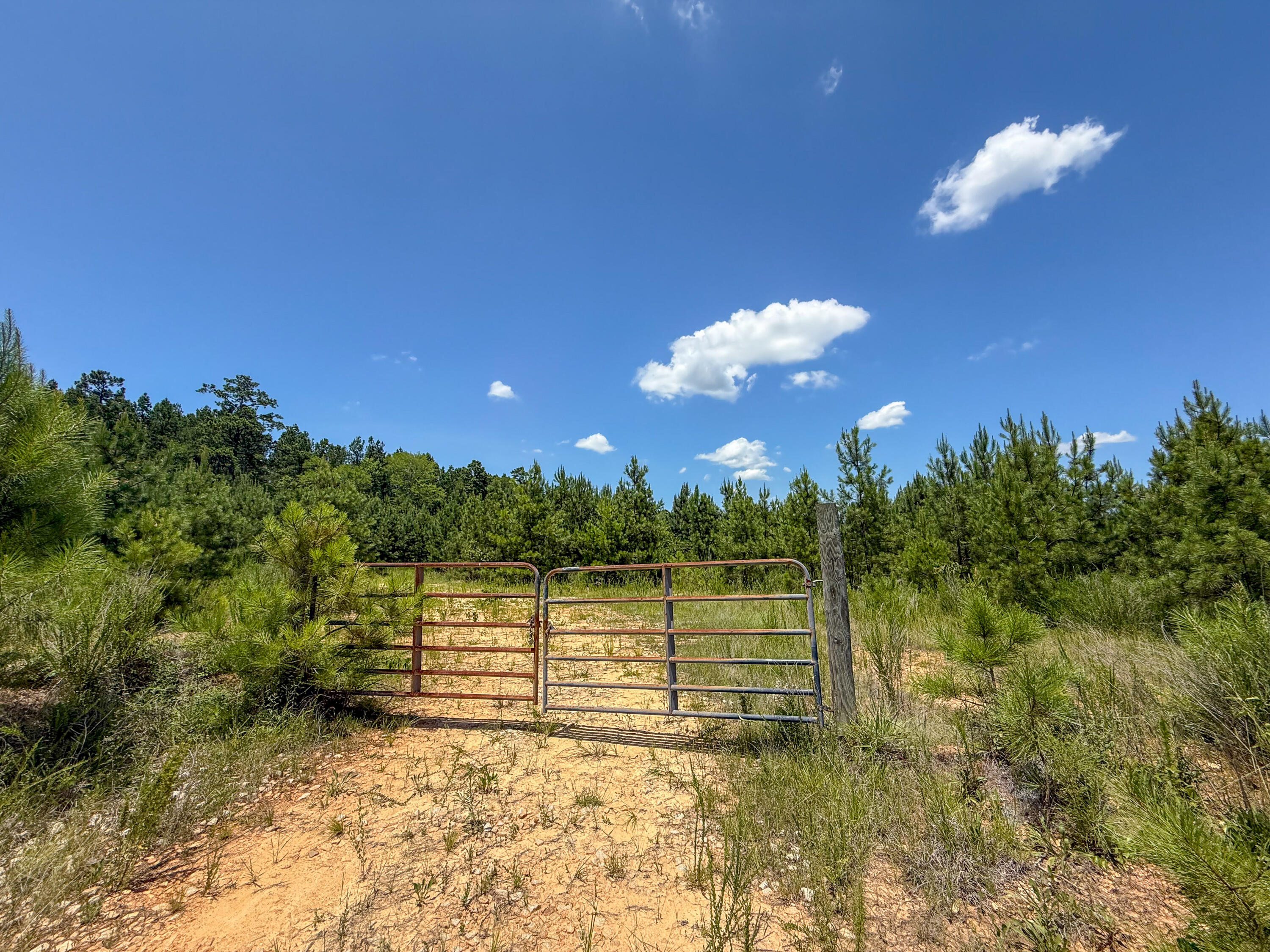 0 Cool Branch Road Carlisle, SC 29031 - Photo 4 of 14 Cool Branch Compass South Land Sales Sou